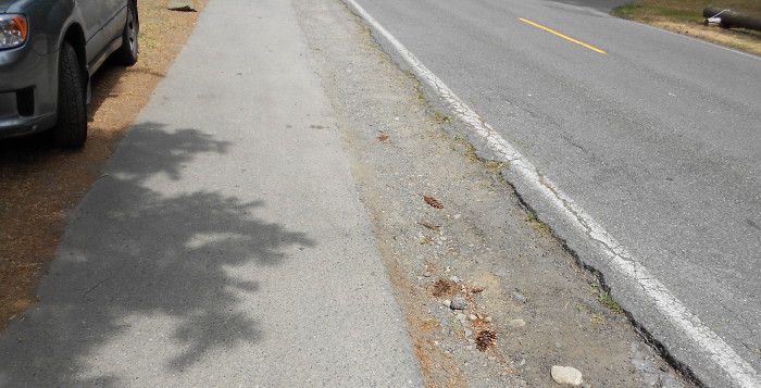 Photo showing how close sidewalk is to street