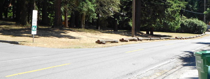 Photo of logs arranged end to end along 1st Ave. N.E. next along edge of Northacres Park