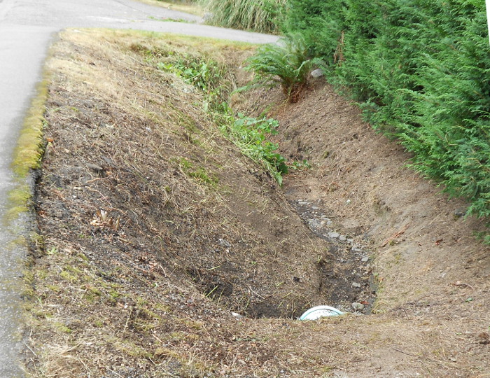 Photo of big ditch on N. 128th St.